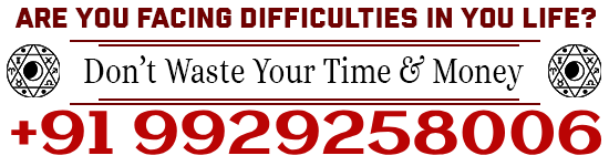 World Famous Astrologer Shivam Joshi Ji +91-9929258006